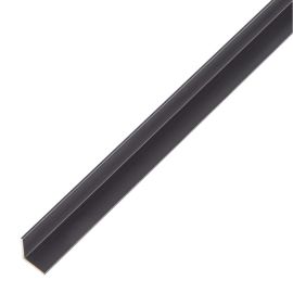 Alberts Angle Profile,Alu,Black Anod10X10X1/1M 488284